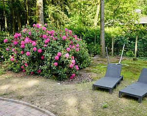 Unterkunft 325909 - Ferienhaus Veluwe - Vakantiehuisje in Bennekom