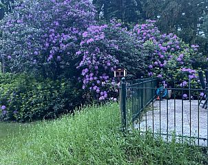 Unterkunft 325909 - Ferienhaus Veluwe - Vakantiehuisje in Bennekom