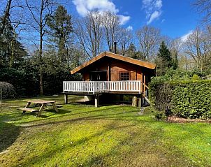Unterkunft 325910 - Ferienhaus Veluwe - Huisje in Bennekom
