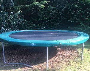 Unterkunft 325910 - Ferienhaus Veluwe - Huisje in Bennekom