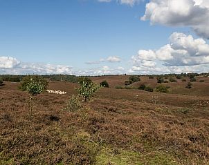 Unterkunft 325910 - Ferienhaus Veluwe - Huisje in Bennekom