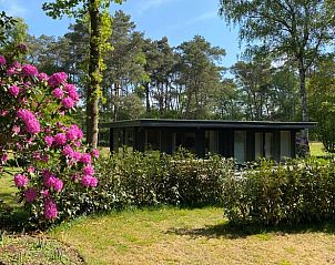 Verblijf 325911 • Vakantiewoning Veluwe • Huisje in Bennekom 