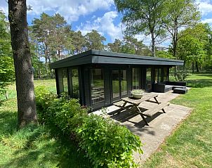 Unterkunft 325911 - Ferienhaus Veluwe - Huisje in Bennekom