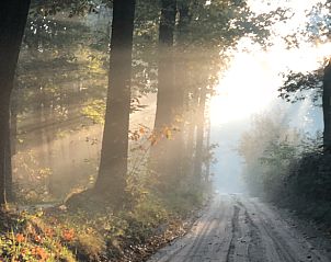 Unterkunft 325911 - Ferienhaus Veluwe - Huisje in Bennekom