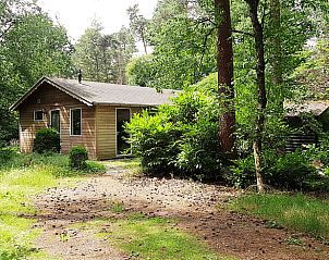 Unterkunft 325915 - Ferienhaus Veluwe - Vakantiehuisje in Bennekom