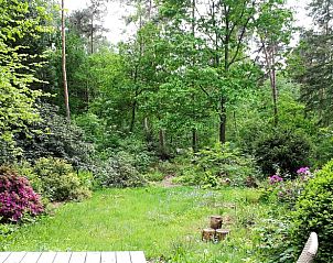 Unterkunft 325915 - Ferienhaus Veluwe - Vakantiehuisje in Bennekom