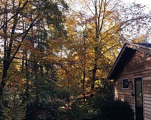 Unterkunft 325915 - Ferienhaus Veluwe - Vakantiehuisje in Bennekom