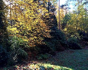 Unterkunft 325915 - Ferienhaus Veluwe - Vakantiehuisje in Bennekom