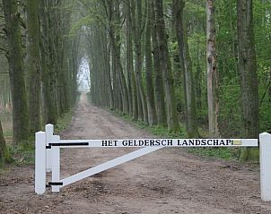 Unterkunft 325915 - Ferienhaus Veluwe - Vakantiehuisje in Bennekom