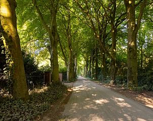 Unterkunft 325916 - Ferienhaus Veluwe - Huisje in Bennekom