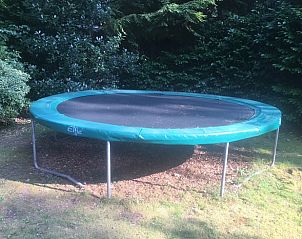 Unterkunft 325917 - Ferienhaus Veluwe - Vakantiehuisje in Bennekom