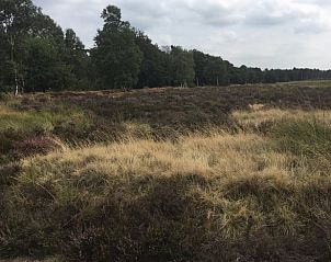 Unterkunft 325917 - Ferienhaus Veluwe - Vakantiehuisje in Bennekom