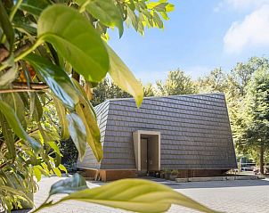 Unterkunft 325926 - Ferienhaus Veluwe - Vakantiehuisje in Bennekom