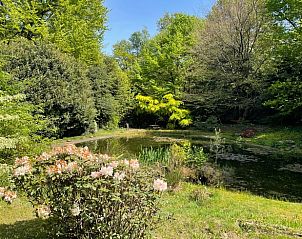 Unterkunft 325926 - Ferienhaus Veluwe - Vakantiehuisje in Bennekom