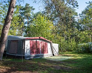 Unterkunft 326004 - Mobilheim Veluwe - Coldenhove | Comfort campingplaats | C3