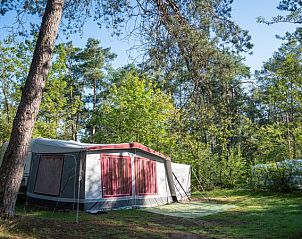 Unterkunft 326004 - Mobilheim Veluwe - Coldenhove | Comfort campingplaats | C3