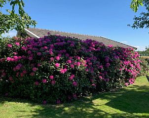 Unterkunft 326005 - Ferienhaus Veluwe - Vakantiehuisje in Eerbeek