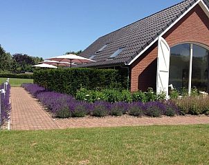 Unterkunft 326006 - Ferienhaus Veluwe - Vakantiehuisje in Eerbeek