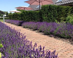 Unterkunft 326006 - Ferienhaus Veluwe - Vakantiehuisje in Eerbeek