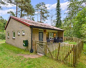 Unterkunft 326012 - Bungalow Veluwe - Coldenhove | 6-persoons hondenbungalow | 6BD