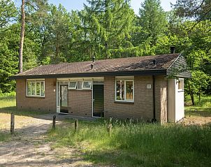Verblijf 326013 • Bungalow Veluwe • Coldenhove | 8-persoons bungalow | 8C 