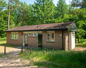Warme sfeer in Coldenhove 8-persoons bungalow, Eerbeek, Veluwe met knusse open haard.