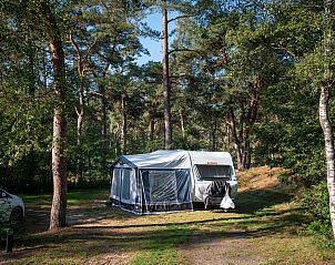 Unterkunft 326015 - Mobilheim Veluwe - Coldenhove | Basis campingplaats | C2