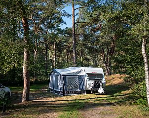 Unterkunft 326015 - Mobilheim Veluwe - Coldenhove | Basis campingplaats | C2