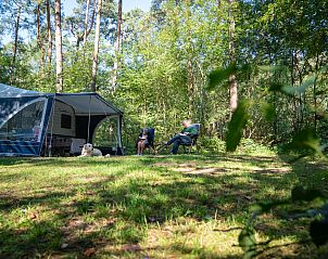 Unterkunft 326016 - Mobilheim Veluwe - Coldenhove | Basis campingplaats | C5