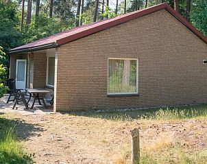 Coldenhove 6-persoons bungalow 6B in Eerbeek, Veluwe, Gelderland met een zonnig terras en groene omgeving.