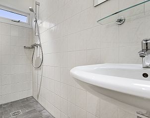 Unterkunft 326023 - Bungalow Veluwe - Coldenhove | 4-persoons bungalow | 4C