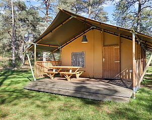 Guest house 326028 • Holiday property Veluwe • Coldenhove | 6-persoons safaritent | 6ST 