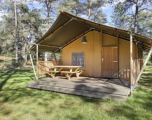 Unterkunft 326028 - Ferienhaus Veluwe - Coldenhove | 6-persoons safaritent | 6ST