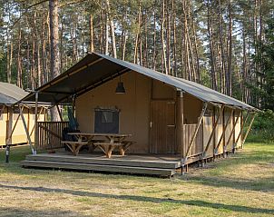 Unterkunft 326028 - Ferienhaus Veluwe - Coldenhove | 6-persoons safaritent | 6ST