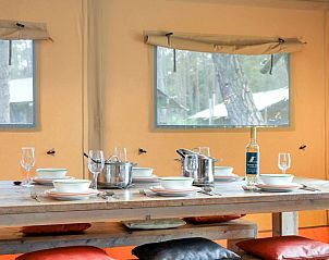 Unterkunft 326028 - Ferienhaus Veluwe - Coldenhove | 6-persoons safaritent | 6ST