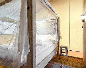 Unterkunft 326028 - Ferienhaus Veluwe - Coldenhove | 6-persoons safaritent | 6ST