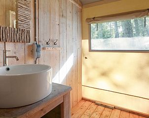 Unterkunft 326028 - Ferienhaus Veluwe - Coldenhove | 6-persoons safaritent | 6ST