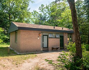 Unterkunft 326042 - Bungalow Veluwe - Coldenhove | 4-persoons bungalow | 4CE