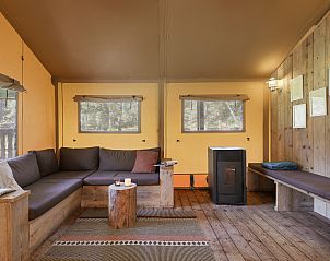 Unterkunft 326043 - Ferienhaus Veluwe - Coldenhove | 6-persoons safaritent | 6ST