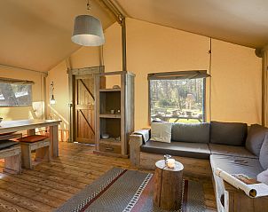 Unterkunft 326043 - Ferienhaus Veluwe - Coldenhove | 6-persoons safaritent | 6ST