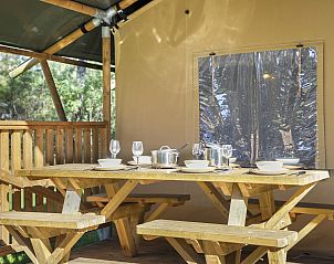 Unterkunft 326043 - Ferienhaus Veluwe - Coldenhove | 6-persoons safaritent | 6ST