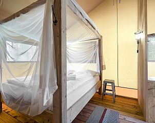 Unterkunft 326043 - Ferienhaus Veluwe - Coldenhove | 6-persoons safaritent | 6ST