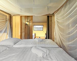 Unterkunft 326043 - Ferienhaus Veluwe - Coldenhove | 6-persoons safaritent | 6ST