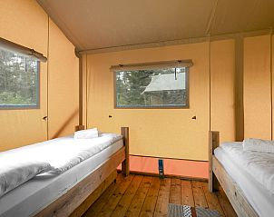 Unterkunft 326043 - Ferienhaus Veluwe - Coldenhove | 6-persoons safaritent | 6ST