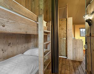 Unterkunft 326043 - Ferienhaus Veluwe - Coldenhove | 6-persoons safaritent | 6ST