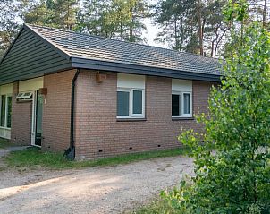 Unterkunft 326053 - Bungalow Veluwe - Coldenhove | 2-persoons bungalow | 2L