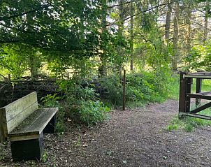 Unterkunft 326058 - Ferienhaus Veluwe - Vakantiehuisje in Eerbeek