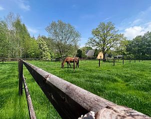Unterkunft 326058 - Ferienhaus Veluwe - Vakantiehuisje in Eerbeek