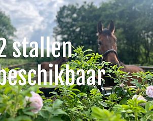 Unterkunft 326058 - Ferienhaus Veluwe - Vakantiehuisje in Eerbeek