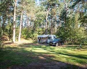 Verblijf 326067 - Stacaravan Veluwe - Coldenhove | Basis campingplaats | C2